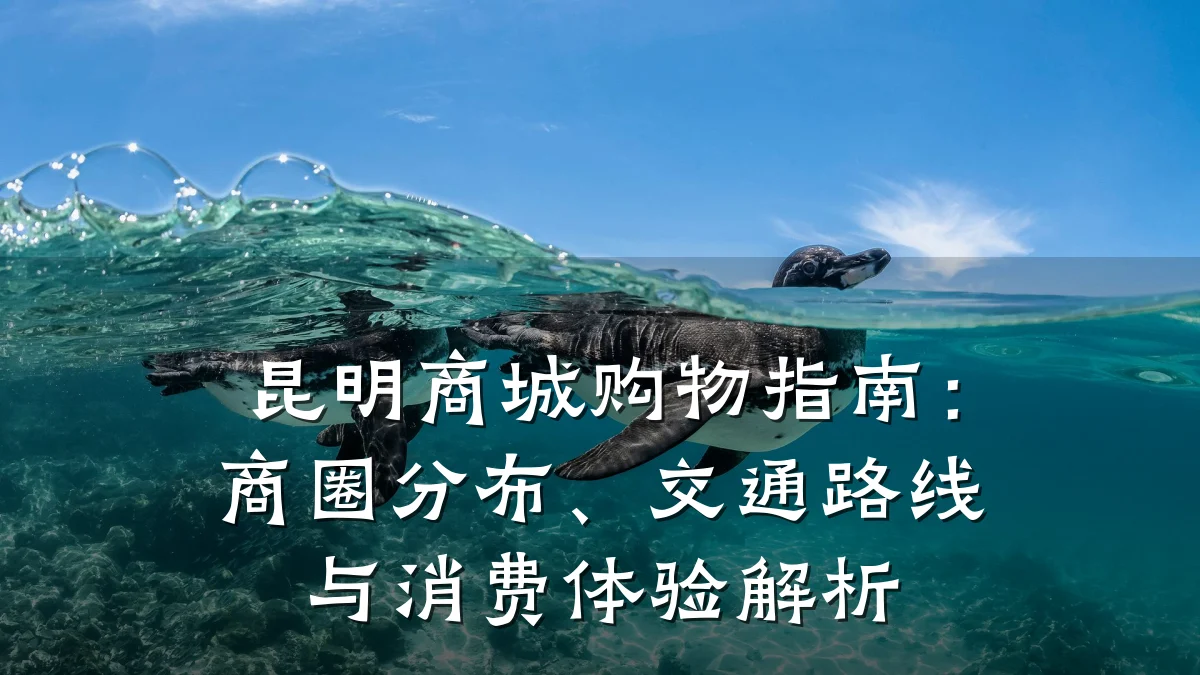昆明商城购物指南:商圈分布、交通路线与消费体验解析