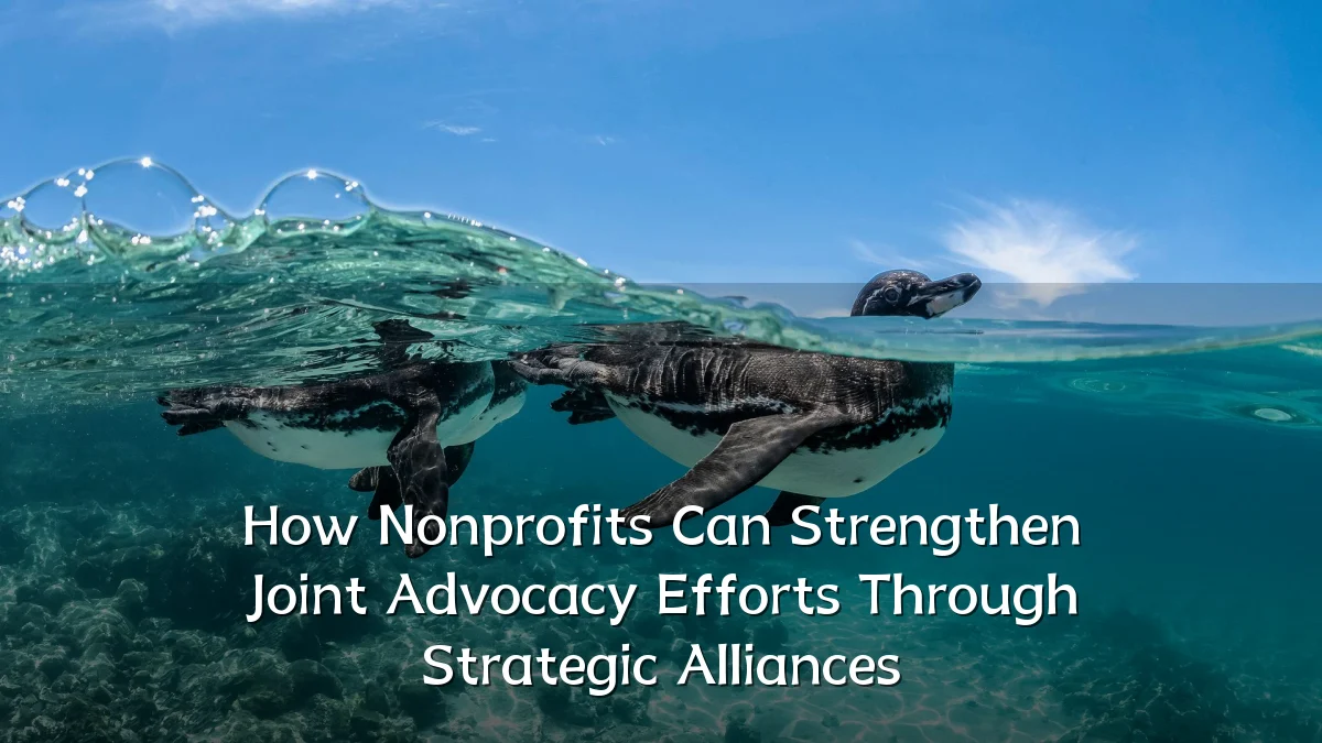 How Nonprofits Can Strengthen Joint Advocacy Efforts Through Strategic Alliances