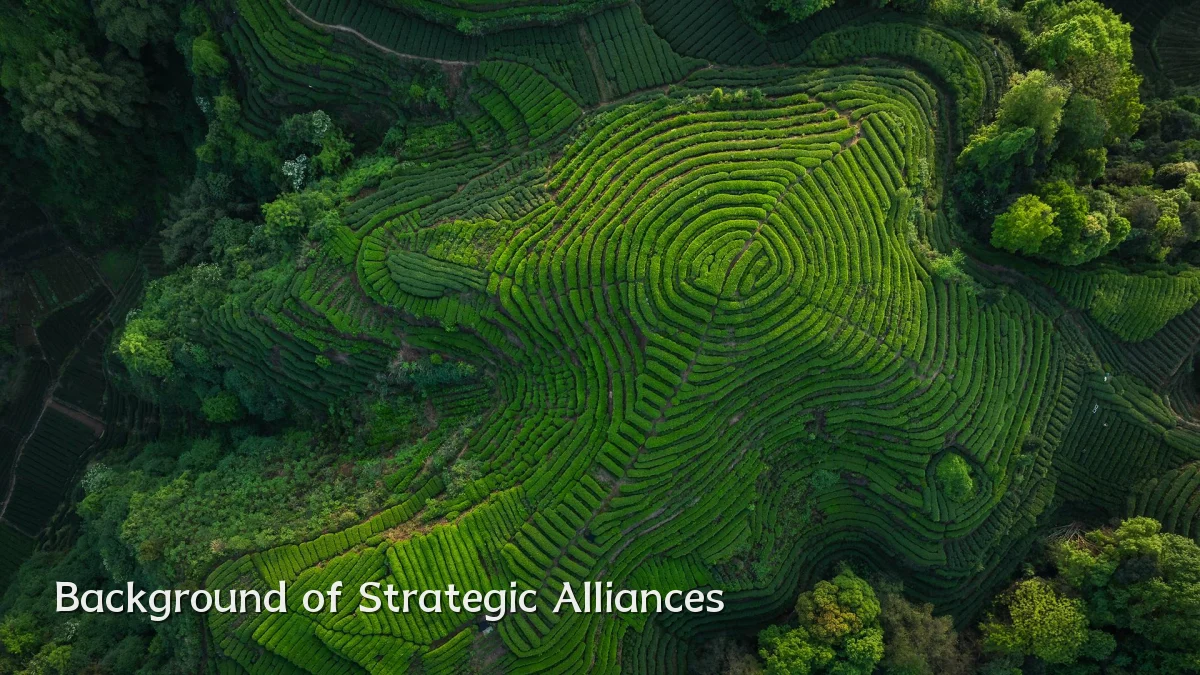 Background of Strategic Alliances