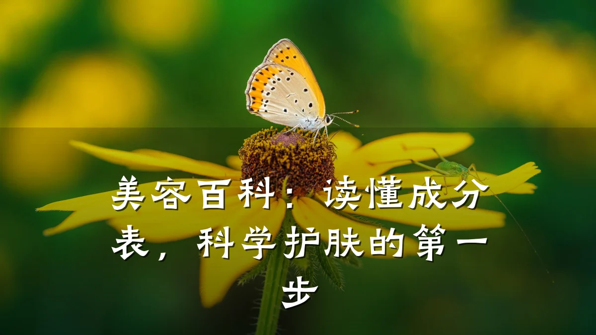 美容百科：读懂成分表，科学护肤的第一步