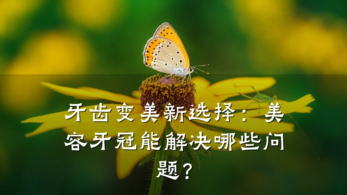 牙齿变美新选择：美容牙冠能解决哪些问题？