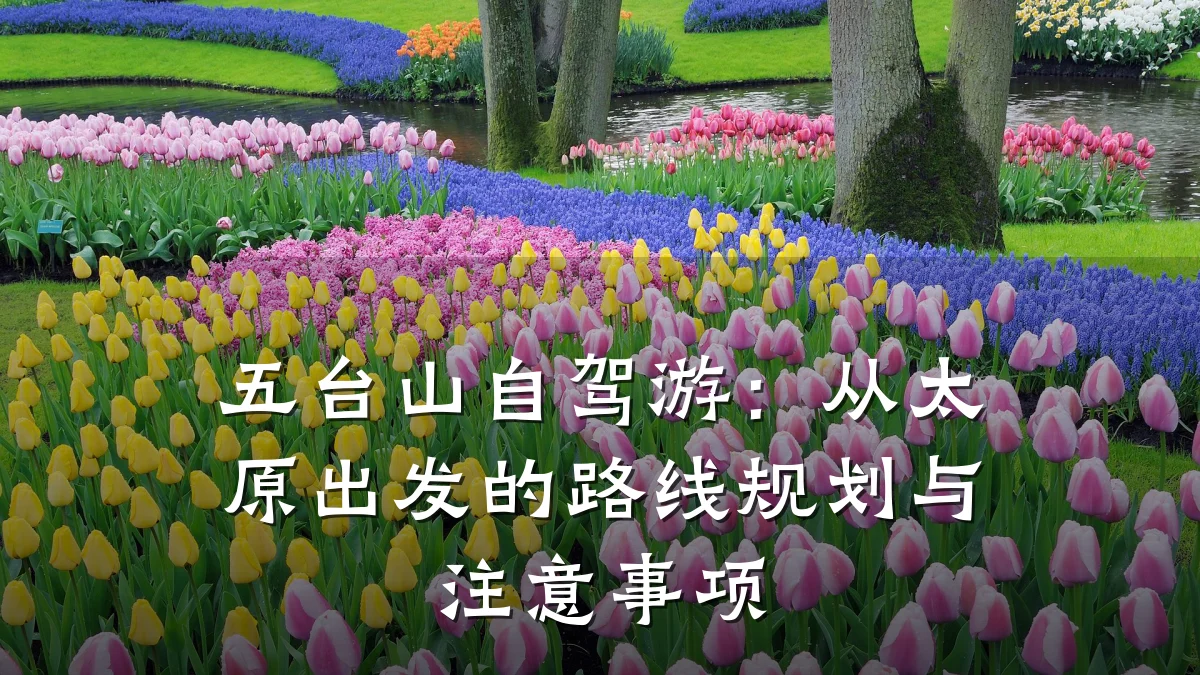 五台山自驾游:从太原出发的路线规划与注意事项