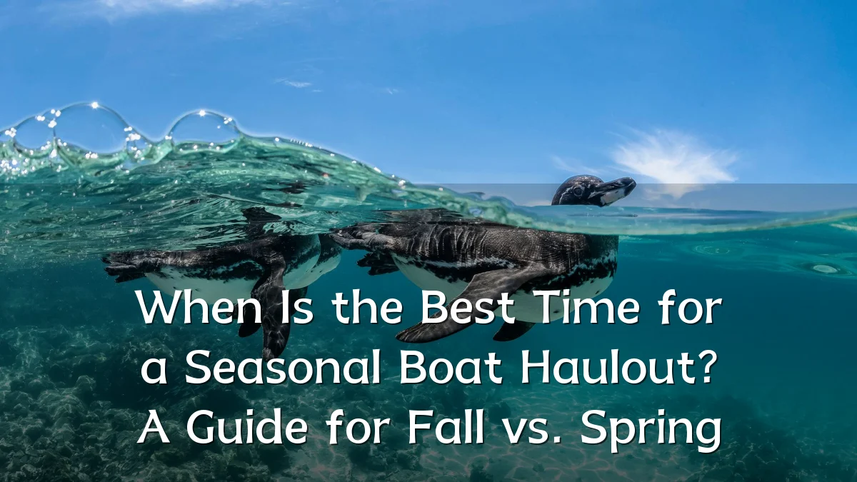 When Is the Best Time for a Seasonal Boat Haulout? A Guide for Fall vs. Spring