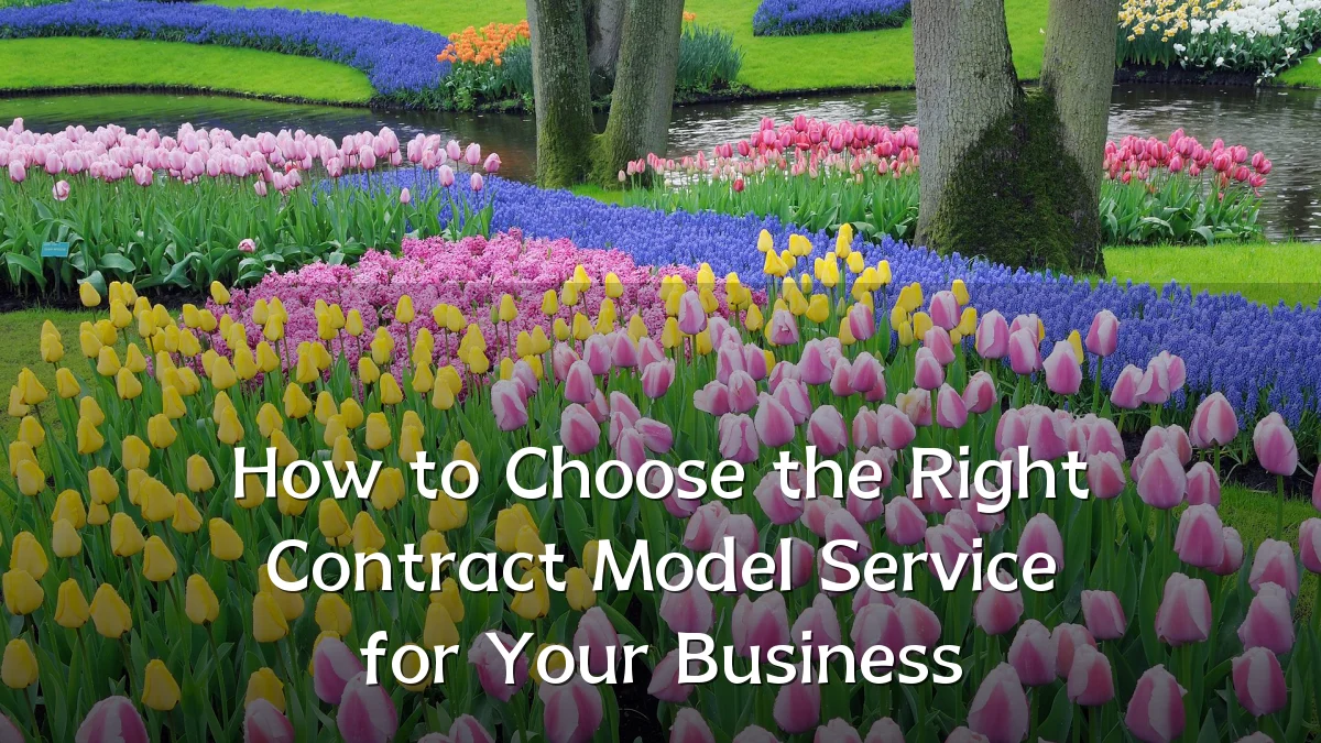 How to Choose the Right Contract Model Service for Your Business