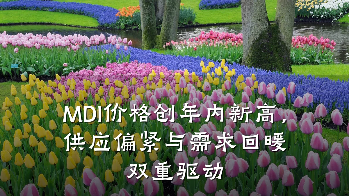 MDI价格创年内新高，供应偏紧与需求回暖双重驱动