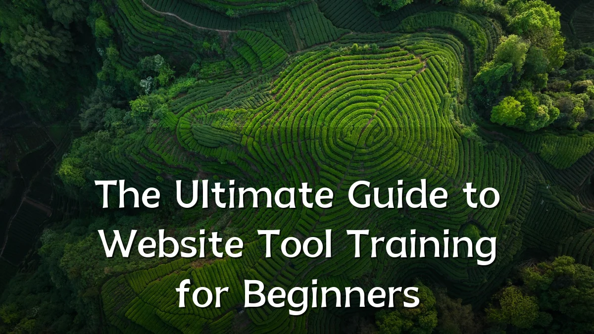 The Ultimate Guide to Website Tool Training for Beginners