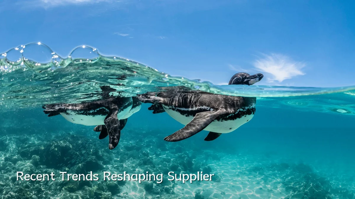 Recent Trends Reshaping Supplier