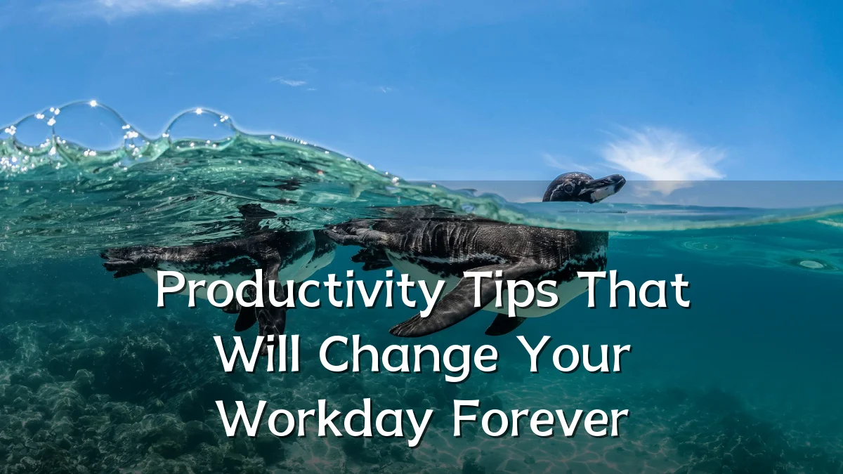 Productivity Tips That Will Change Your Workday Forever