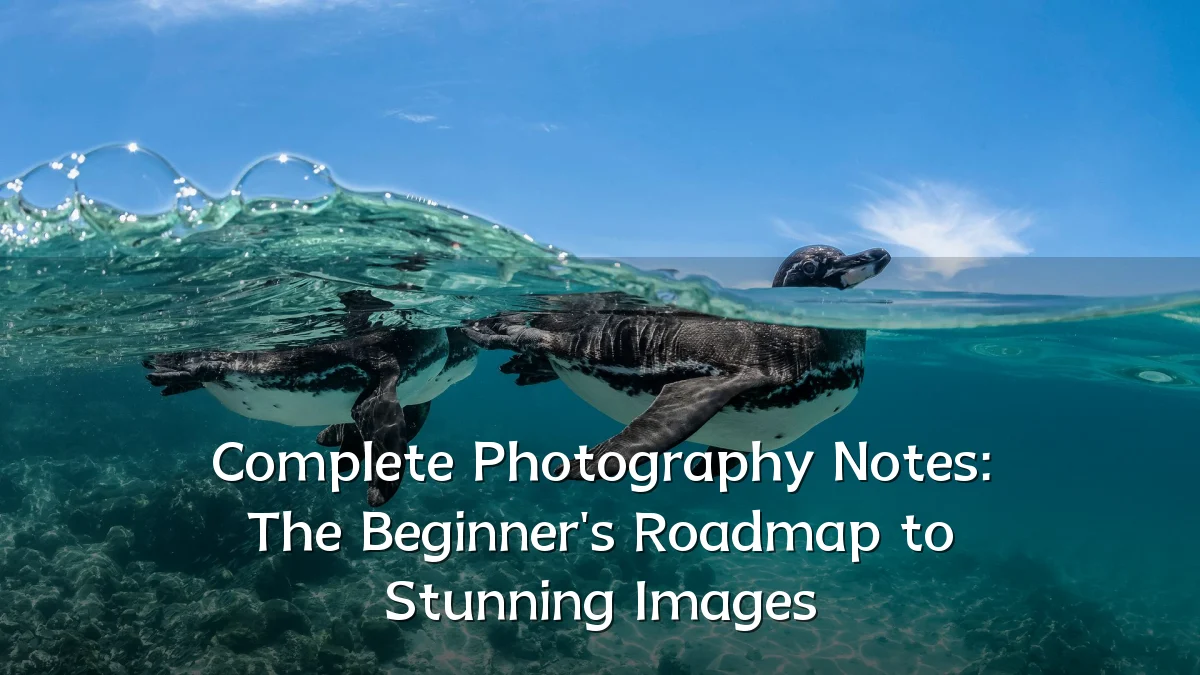 Complete Photography Notes: The Beginner's Roadmap to Stunning Images