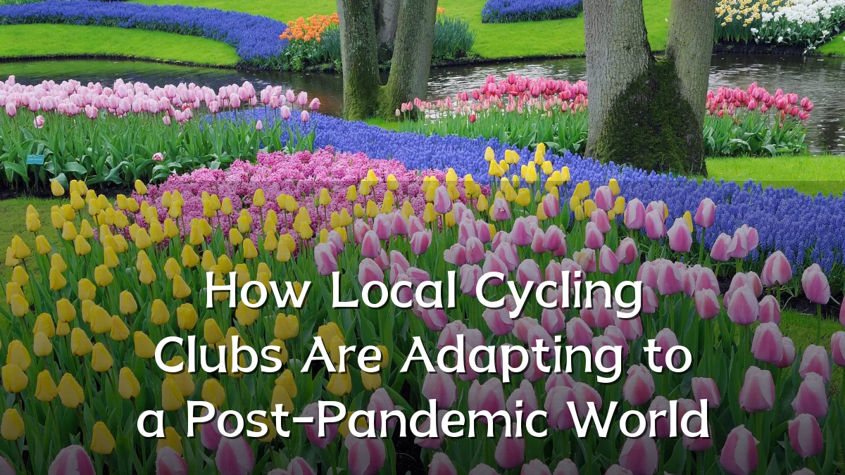 How Local Cycling Clubs Are Adapting to a Post-Pandemic World