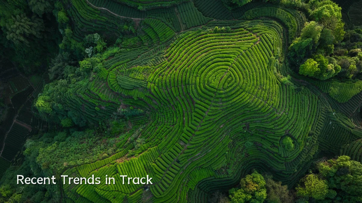 Recent Trends in Track