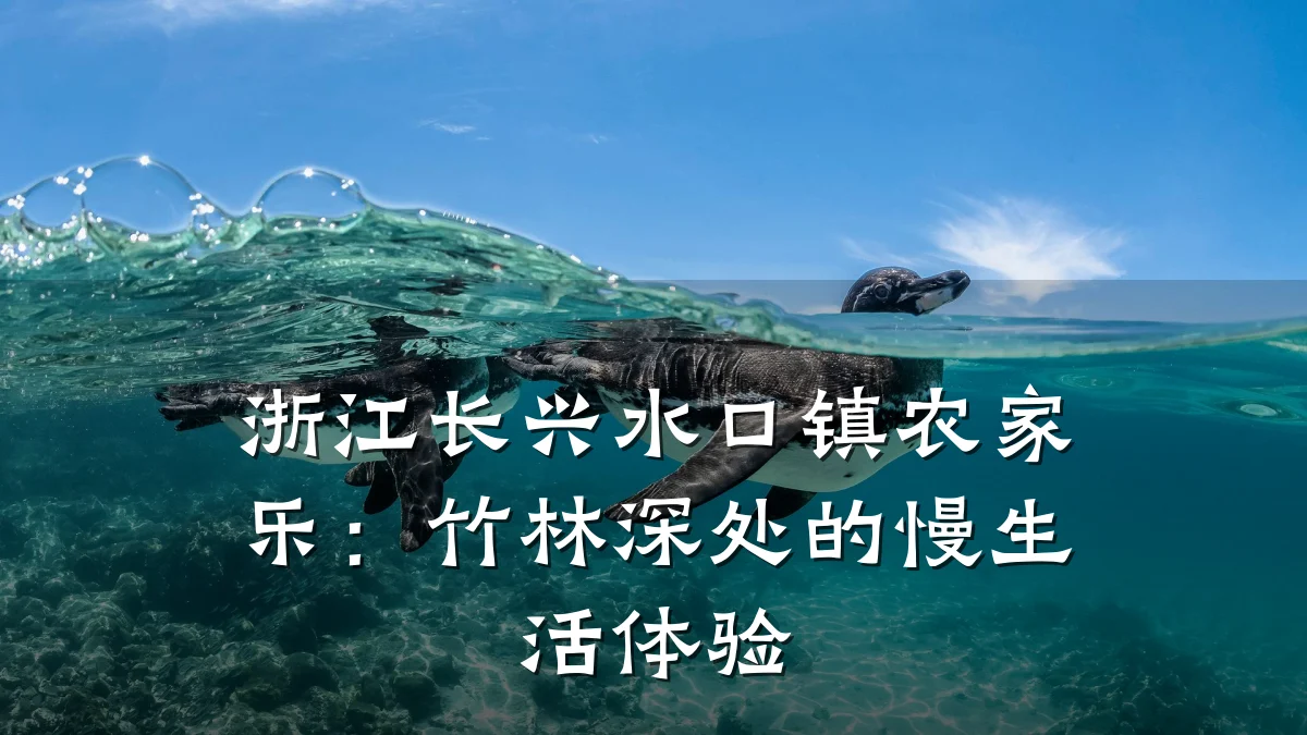 浙江长兴水口镇农家乐:竹林深处的慢生活体验