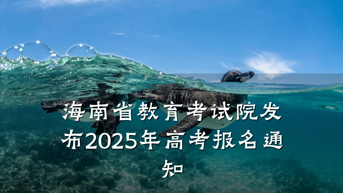 海南省教育考试院发布2025年高考报名通知