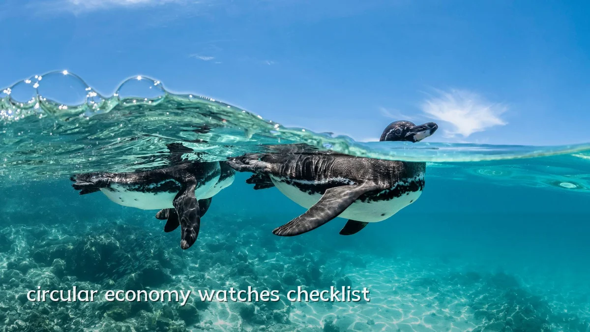 circular economy watches checklist