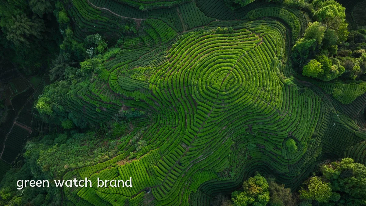 green watch brand