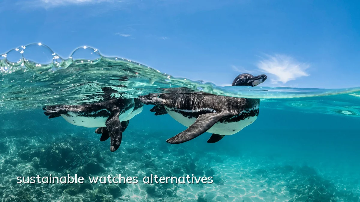 sustainable watches alternatives