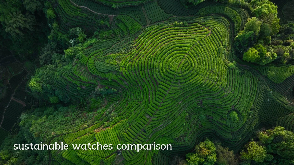 sustainable watches comparison