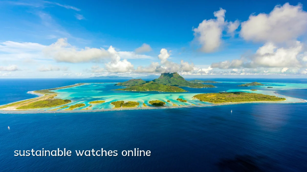 sustainable watches online