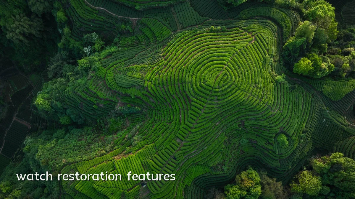 watch restoration features