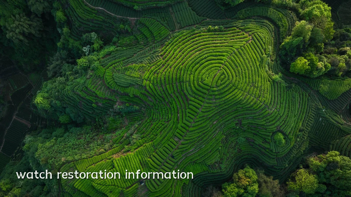 watch restoration information