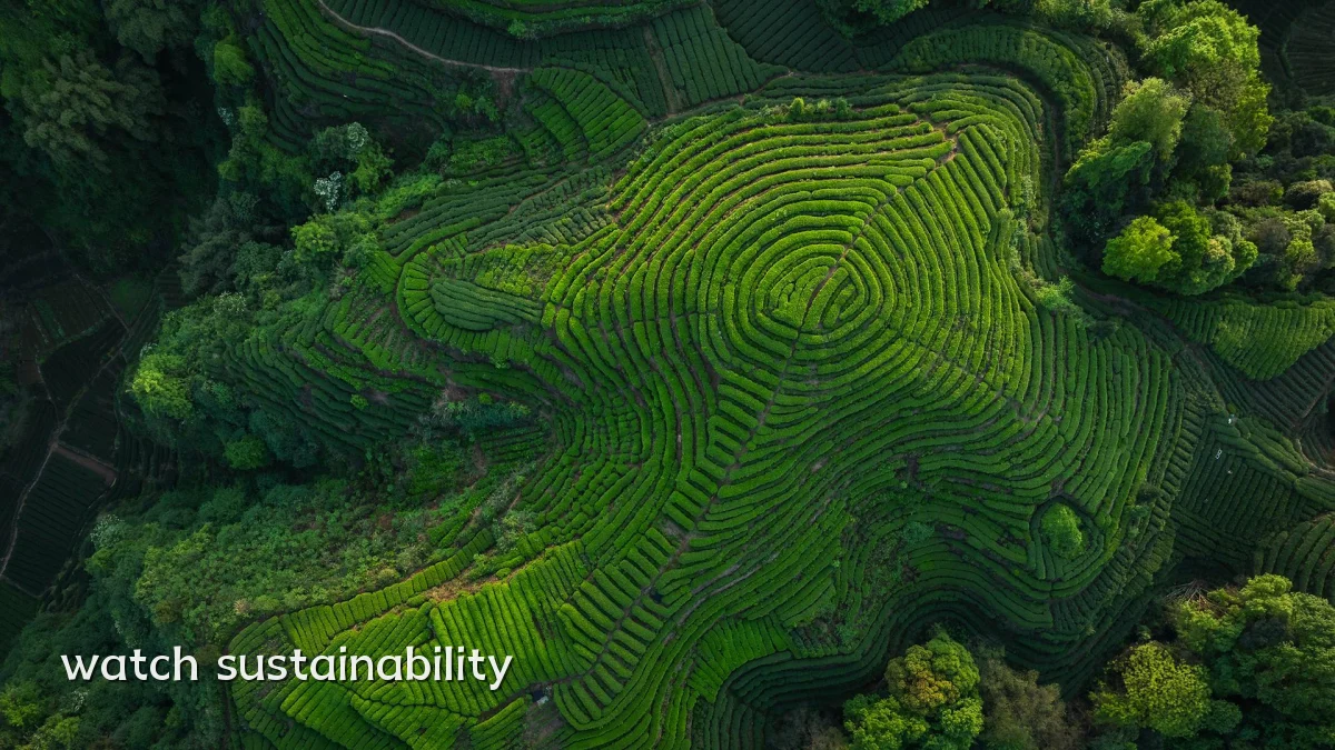 watch sustainability