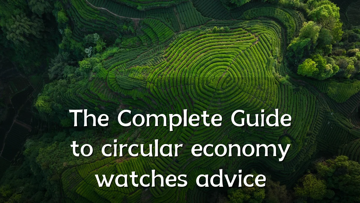 The Complete Guide to circular economy watches advice