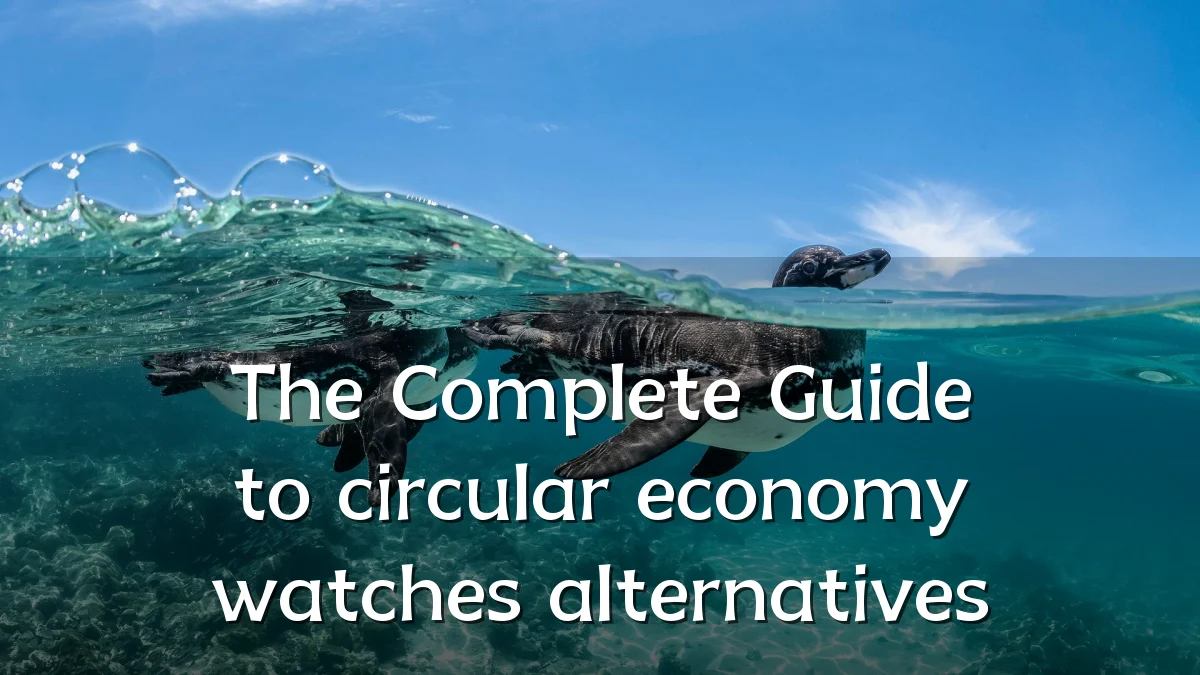 The Complete Guide to circular economy watches alternatives