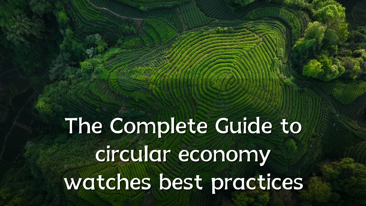 The Complete Guide to circular economy watches best practices