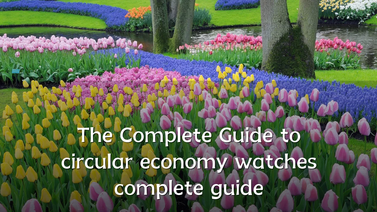 The Complete Guide to circular economy watches complete guide