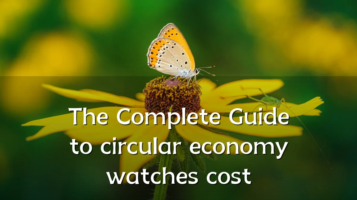 The Complete Guide to circular economy watches cost