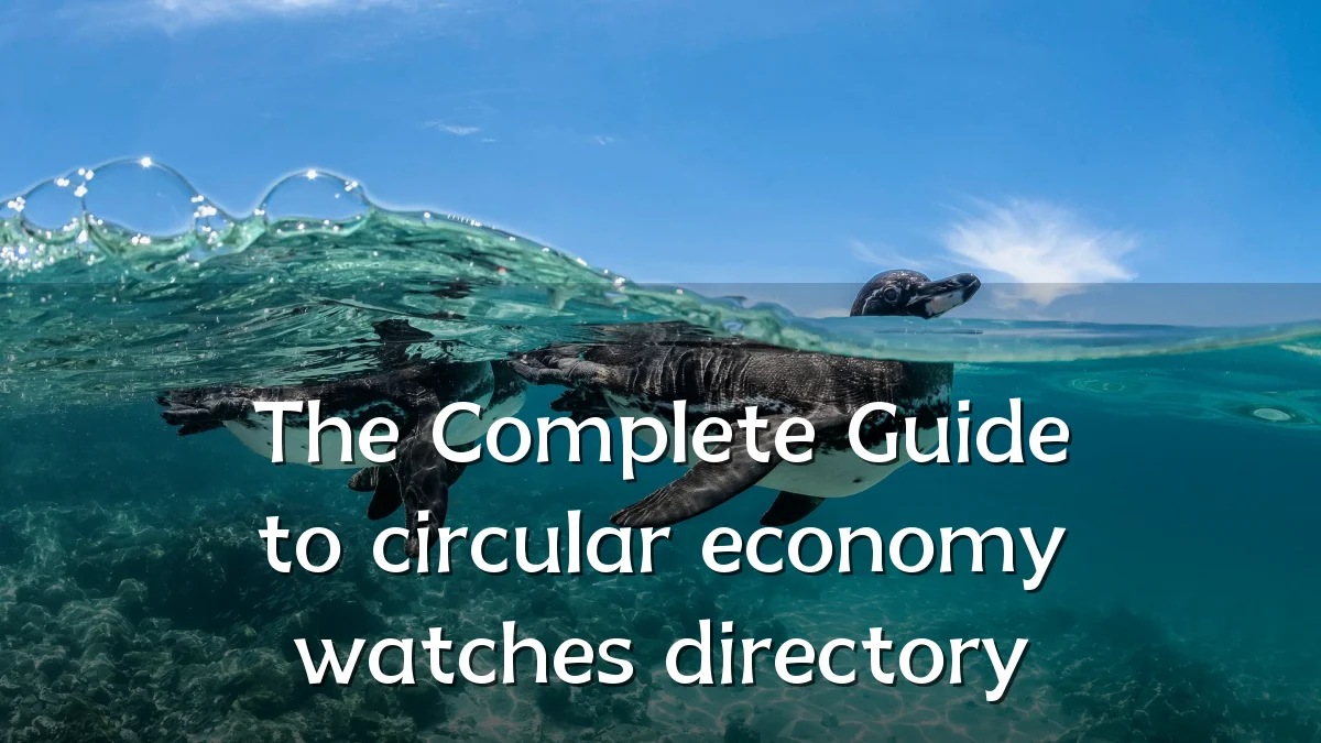 The Complete Guide to circular economy watches directory