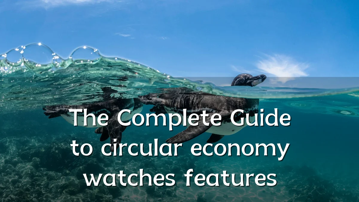 The Complete Guide to circular economy watches features