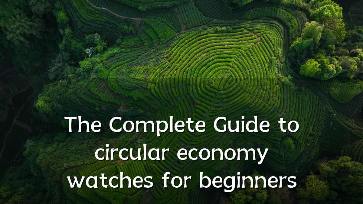 The Complete Guide to circular economy watches for beginners