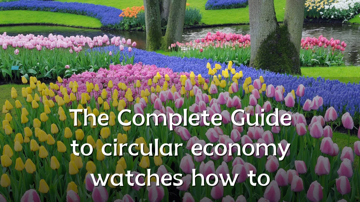The Complete Guide to circular economy watches how to