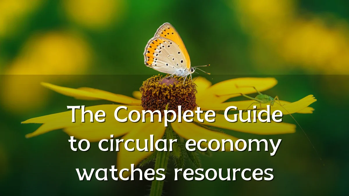 The Complete Guide to circular economy watches resources