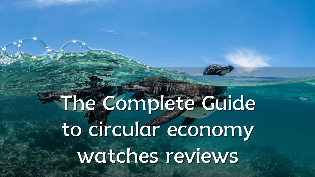 The Complete Guide to circular economy watches reviews