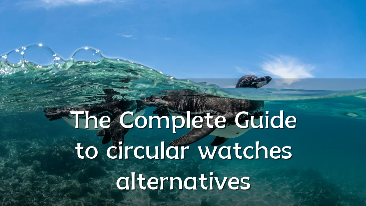 The Complete Guide to circular watches alternatives