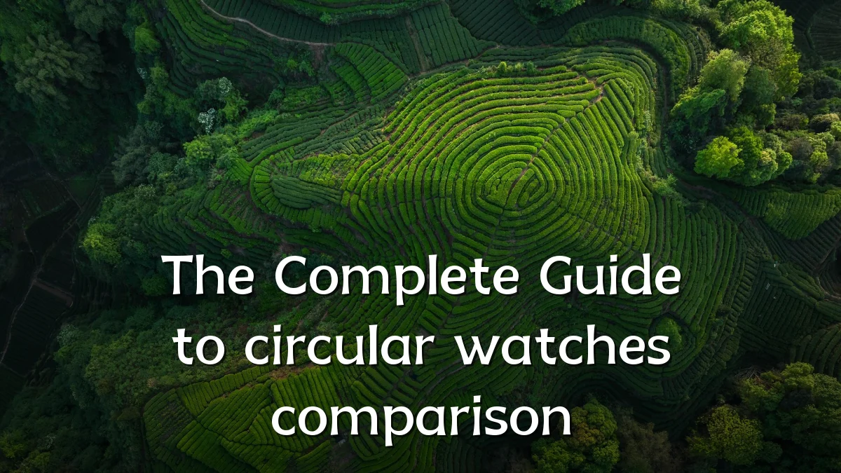 The Complete Guide to circular watches comparison