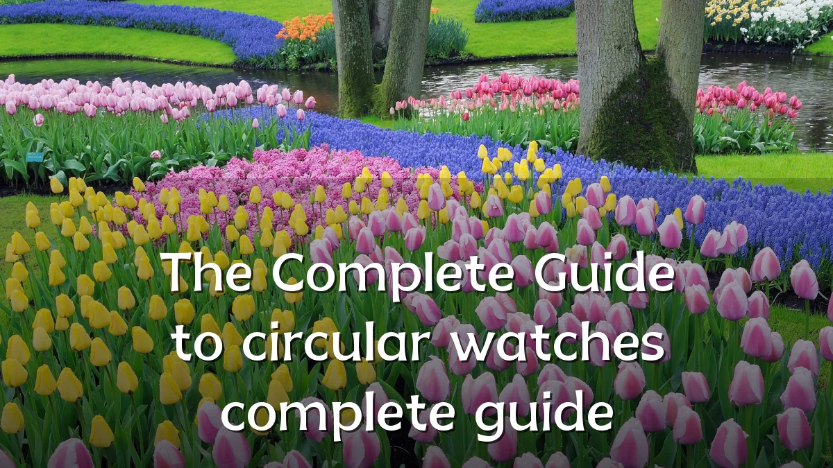 The Complete Guide to circular watches complete guide