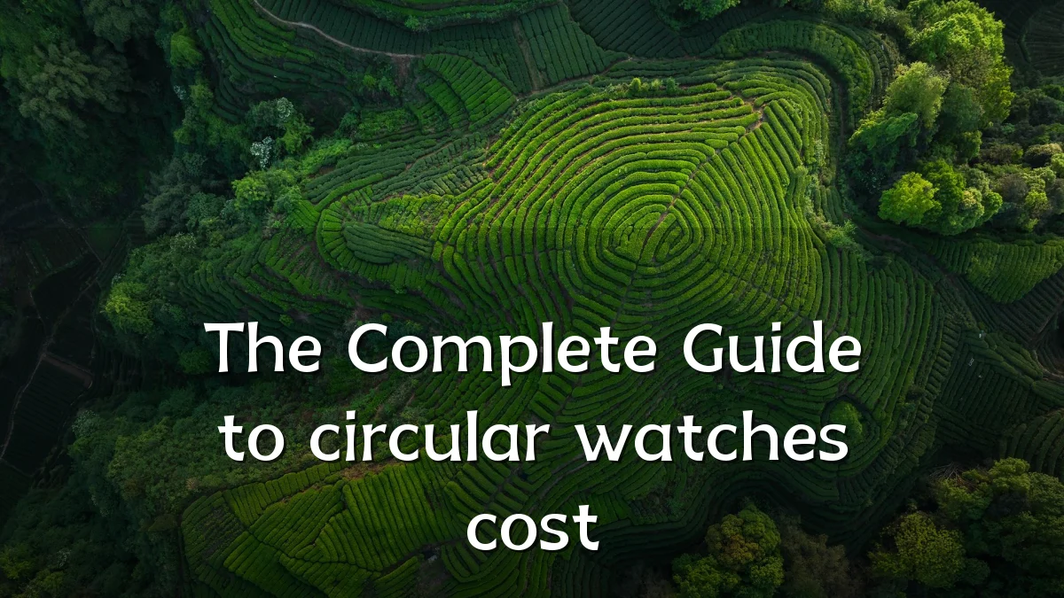 The Complete Guide to circular watches cost