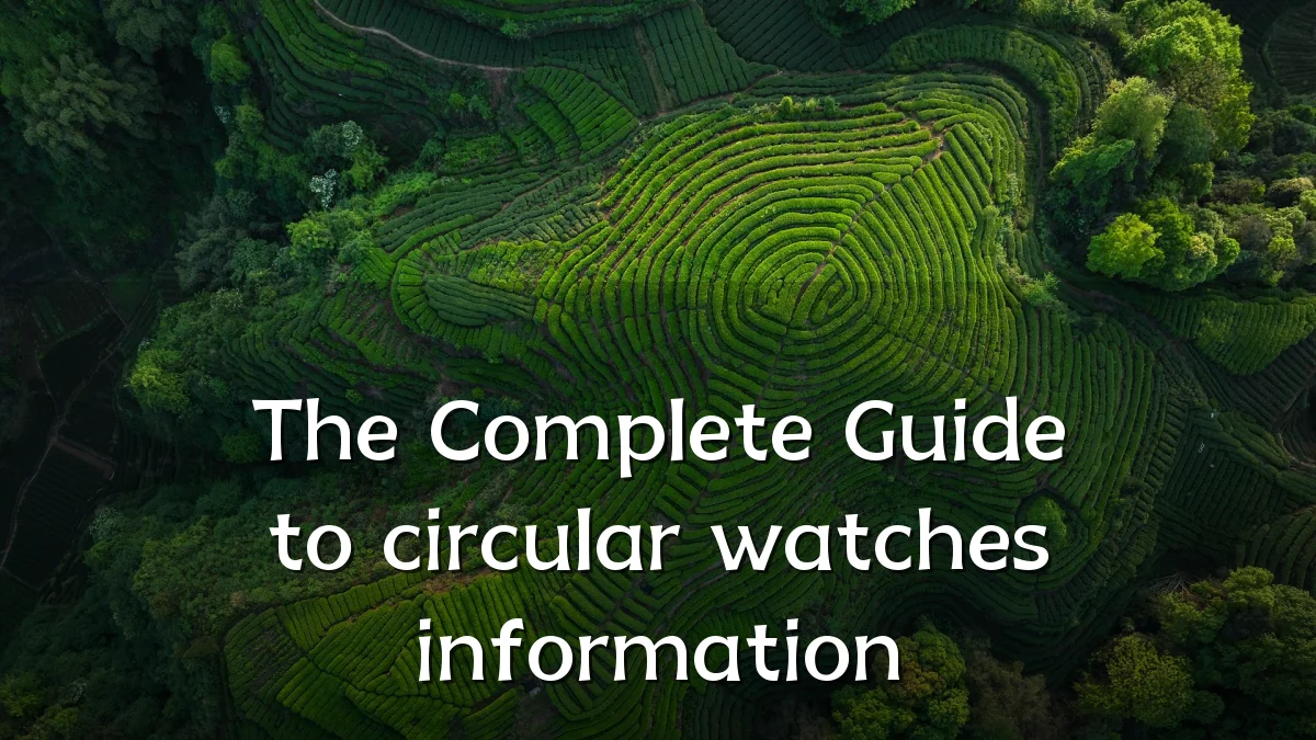 The Complete Guide to circular watches information