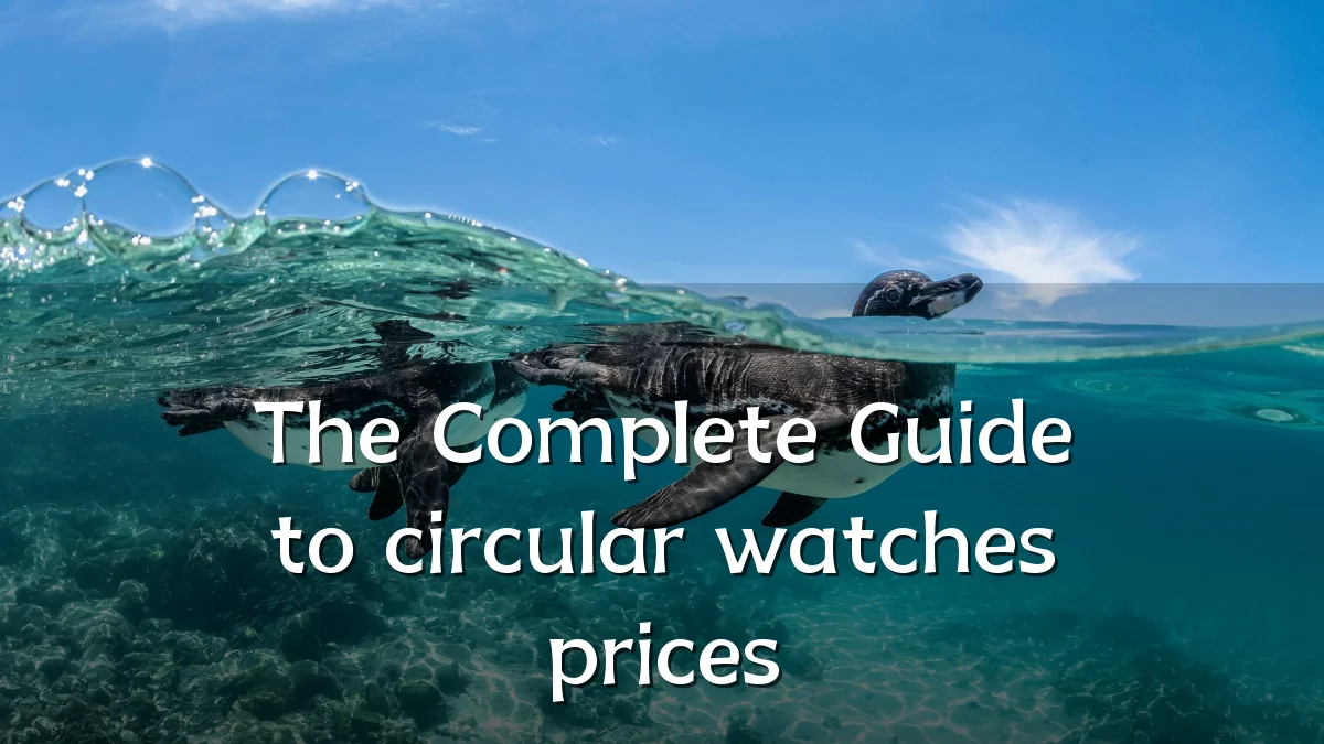 The Complete Guide to circular watches prices
