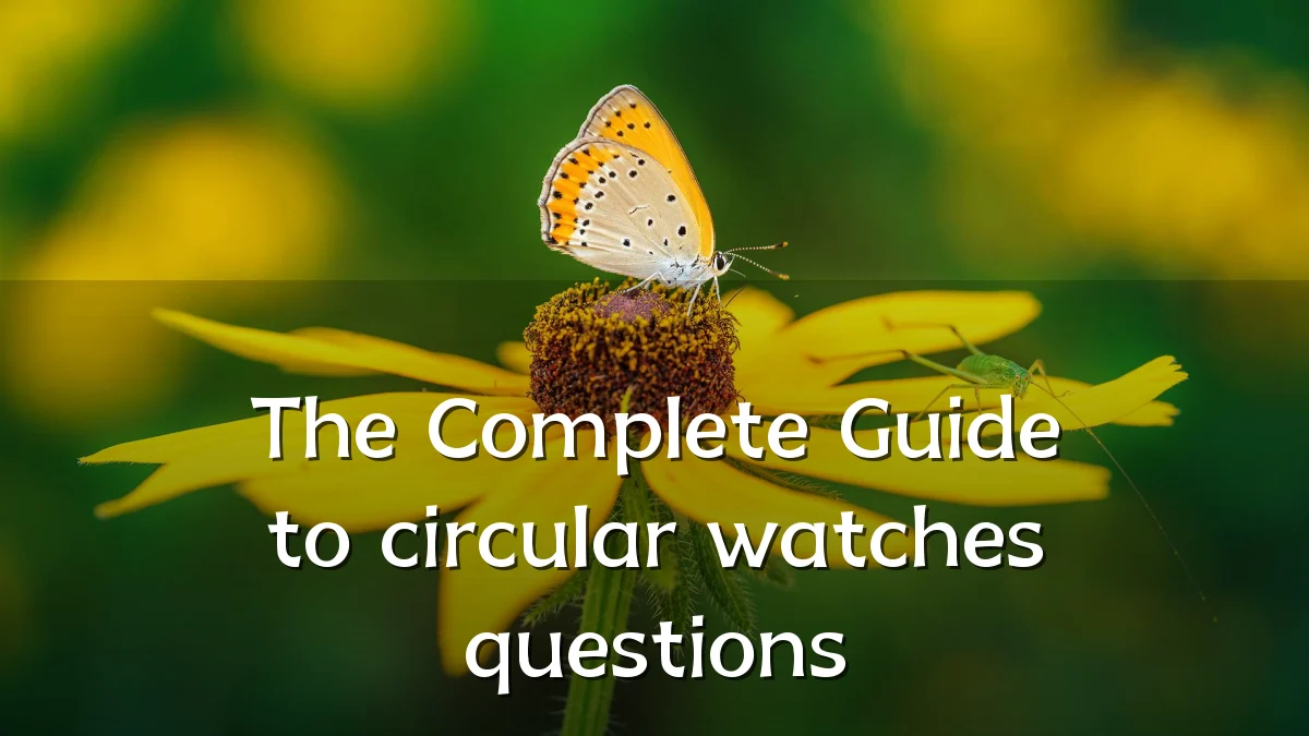 The Complete Guide to circular watches questions