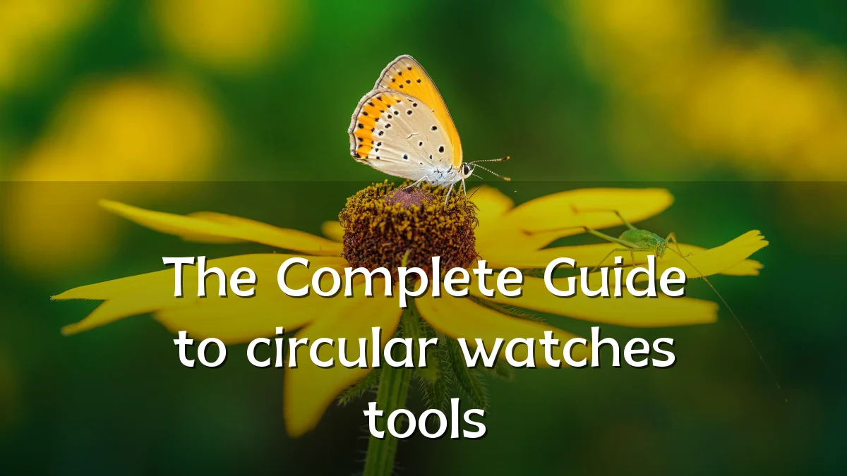 The Complete Guide to circular watches tools