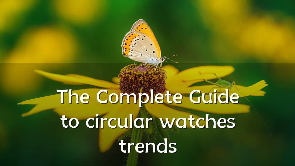 The Complete Guide to circular watches trends