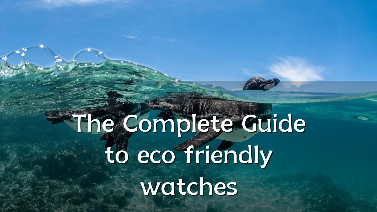 The Complete Guide to eco friendly watches