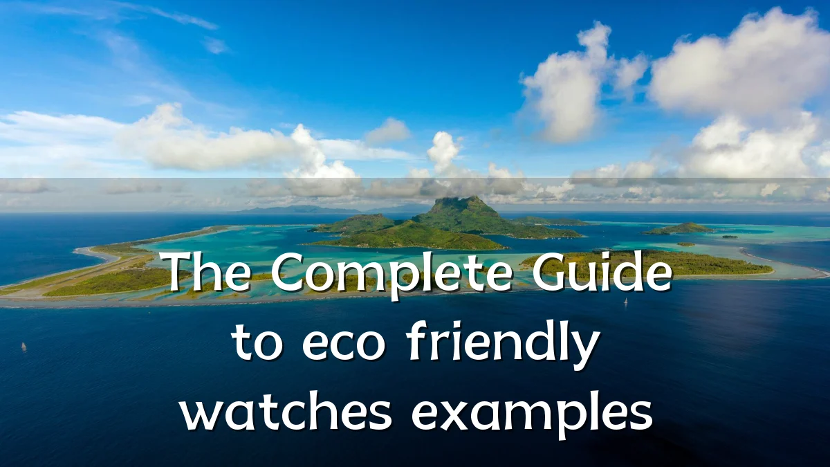 The Complete Guide to eco friendly watches examples