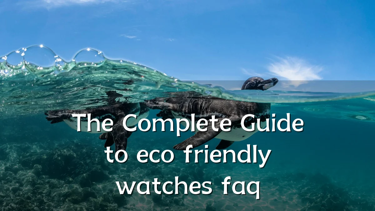 The Complete Guide to eco friendly watches faq
