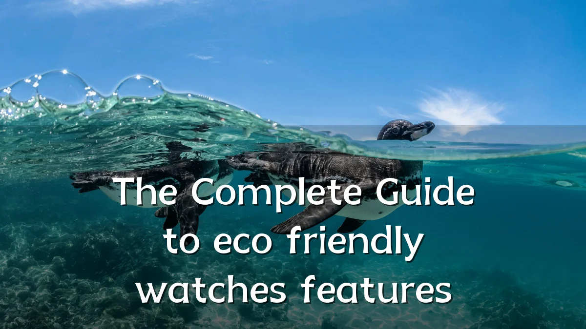 The Complete Guide to eco friendly watches features