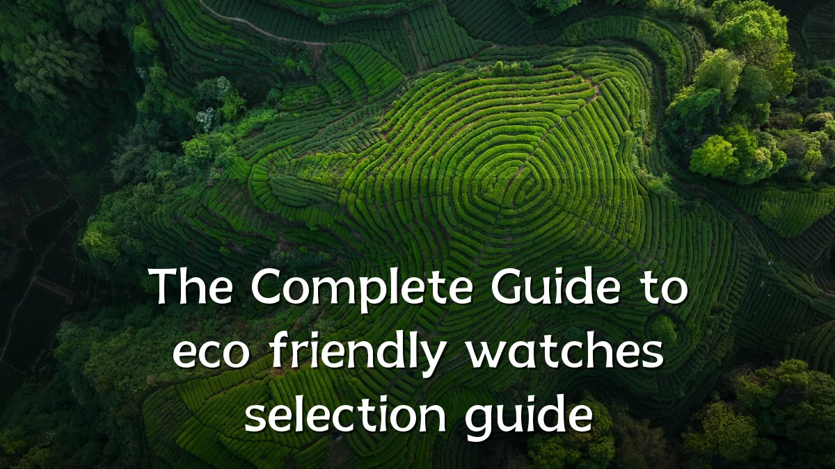 The Complete Guide to eco friendly watches selection guide
